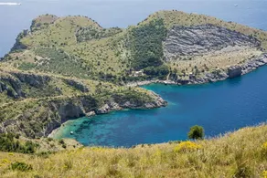 Casa Maradona - Blue - Image 5