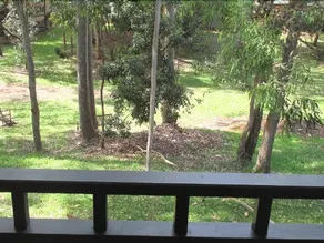 Eucalypt Deluxe Family Resort Cottage - Image 4