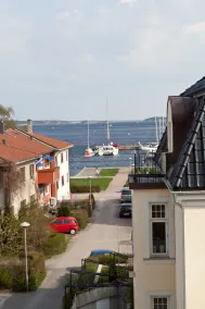 Sjøgløtt - Image 4