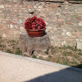 Affittacamere Portaprato - Image 3