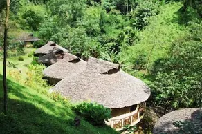 Tadplacamp Organic Farm Stay (ex The Natural Healing Spa Retreat) - Image 5