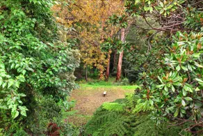 Wildwood Lodge - Image 3
