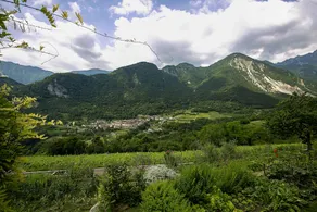 Casa Roseti - Image 3