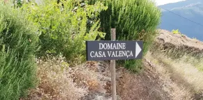 Domaine Casa Valenca - Image 4