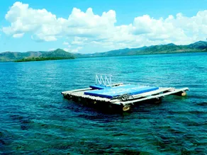 Majika's Island Resort - Image 5