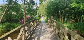 Ferienwohnungen Tewes - Image 3