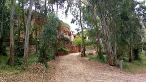 Green House-Woods And Beaches - Image 4