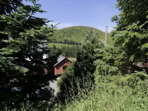 Bryn Coed Bach - Image 4