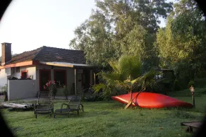 Dane Gokova - Image 4