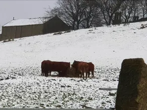 Early Knights at Steeton - Image 3