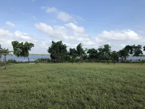 Captain's Lake Safari Lodge - Image 2