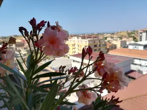 Casa Fiorita Bed & Breakfast - Image 3