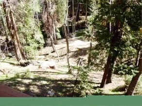 Lake Arrowhead - Dreamin' 3 Bedroom Home by RedAwning - Image 4
