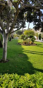 House With 4 Bedrooms in Torrevieja, With Wonderful Lake View, Pool Ac - Image 3