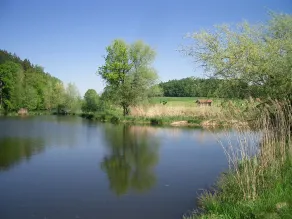Seemannshof - Image 2