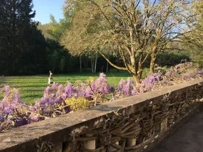 Villa Franciana - Image 3