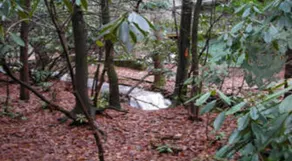 Cabins at Twinbrook Resort - Image 5