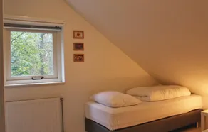 Bergeend - Image 2