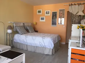 Sunny and Spacious Apt - Image 4