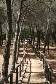 Casa Villa Giardinello - Image 5