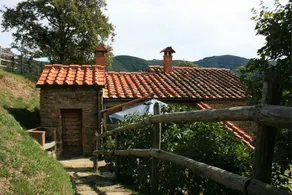 Tribbiano - Image 5