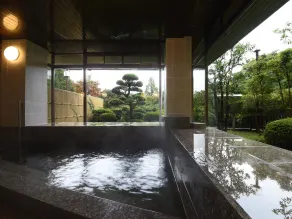 Yuraginosato Hidasanso - Image 2