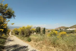 Casa Olivos - Image 3
