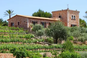 Es Castell - Image 2