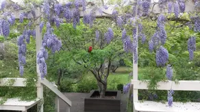 Leura Country Cottage - Image 2