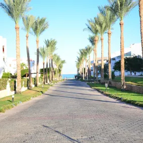 CYRENE ISLAND SHARM - Image 5
