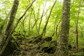 Kyukamura Nasu - Image 5