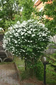 B&B Candiolo Comfort - Image 2
