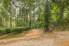 GuestHouser 4 BHK Tree house 7d51 - Image 5
