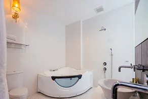 Dufa Luxury Manor - Image 5
