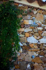 Casa Estrella - Image 5