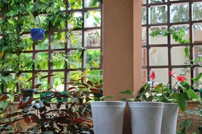 Premiere Boutique Hotel - Image 5