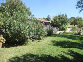 VILLAS DU LUBERON - Appartement L'Hortensia - Image 3