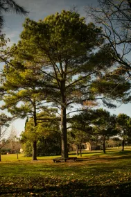 San Ceferino Hotel & Spa - Image 4