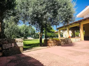 Villa com 3 quartos com piscina - Image 5