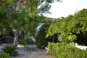 Casa Santos Murteira Manor House - Image 4