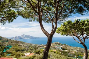 Villa Pizzo in Massa Lubrense - Image 2
