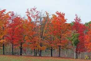 Punderson Manor Lodge and Conference Center - Image 4