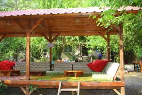 Saban Tree Houses - Image 4