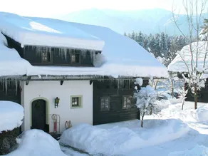 Authentically Furnished Apartment With Balcony, in Carinthia - Image 2