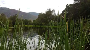 Karamea Homestead - Image 3