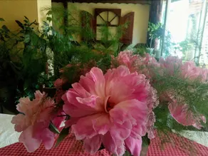 Guest House Zodiac - Image 2