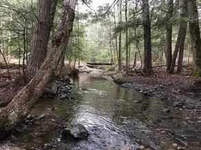 Tentrr - Maine Vibes Farm - Image 3