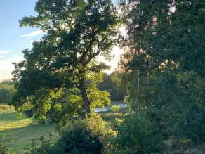 The White Pheasant - Image 3