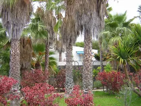 Residencial Casabela - Image 2