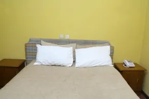 Plaza Hotel - Image 3
